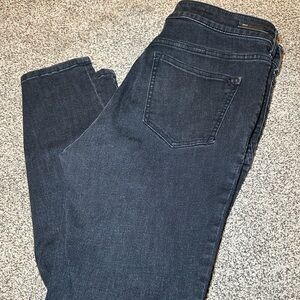 Pilcro and the Letterpress Dark Blue Skinny Jeans